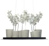 Настольный светильник Jeremy Cole Cymbidium Chandelier 