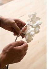 Настольный светильник Jeremy Cole Cymbidium Chandelier 