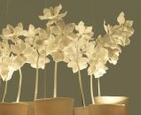 Настольный светильник Jeremy Cole Cymbidium Chandelier 